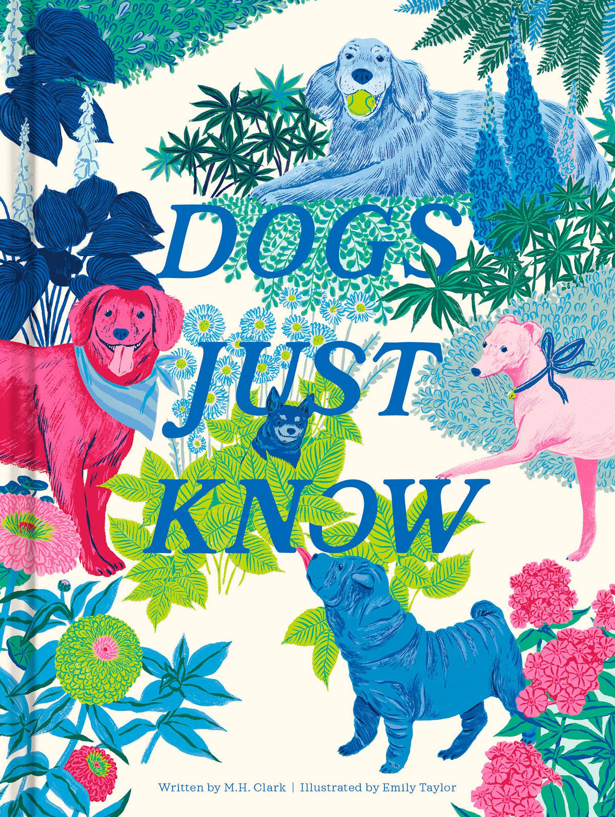 Dogs Just Know