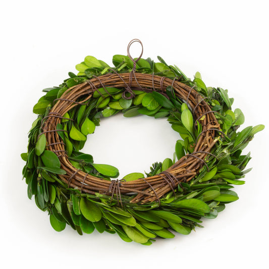 Preserved Boxwood Candle Ring or Wreath