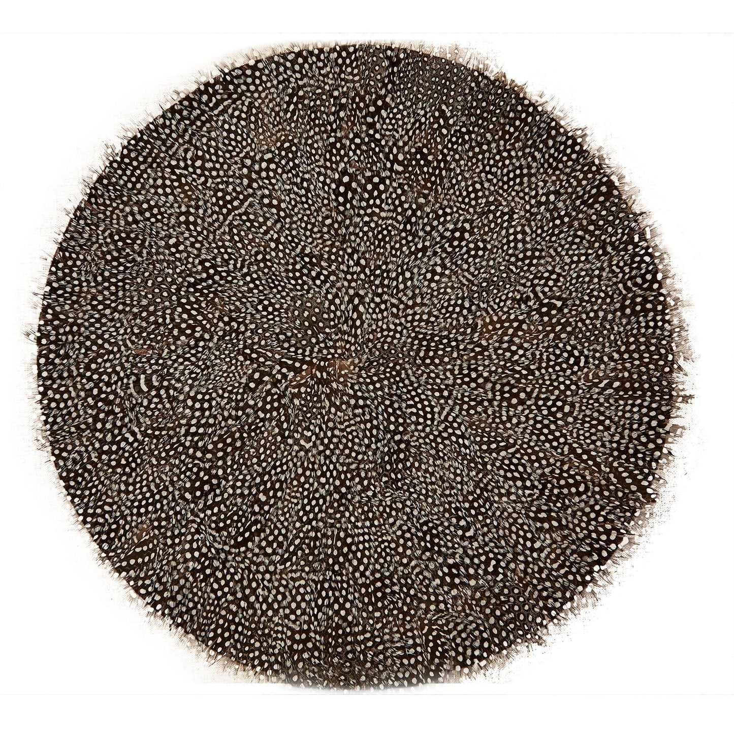 Guinea Fowl Feather Placemat