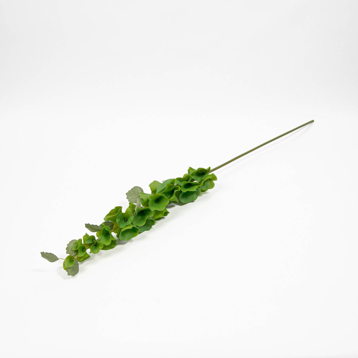 Bells Of Ireland Stem 37 Inch