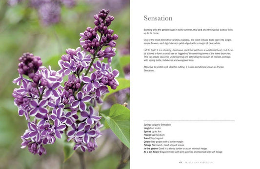 Lilacs: Beautiful Varieties for Home & Garden Book