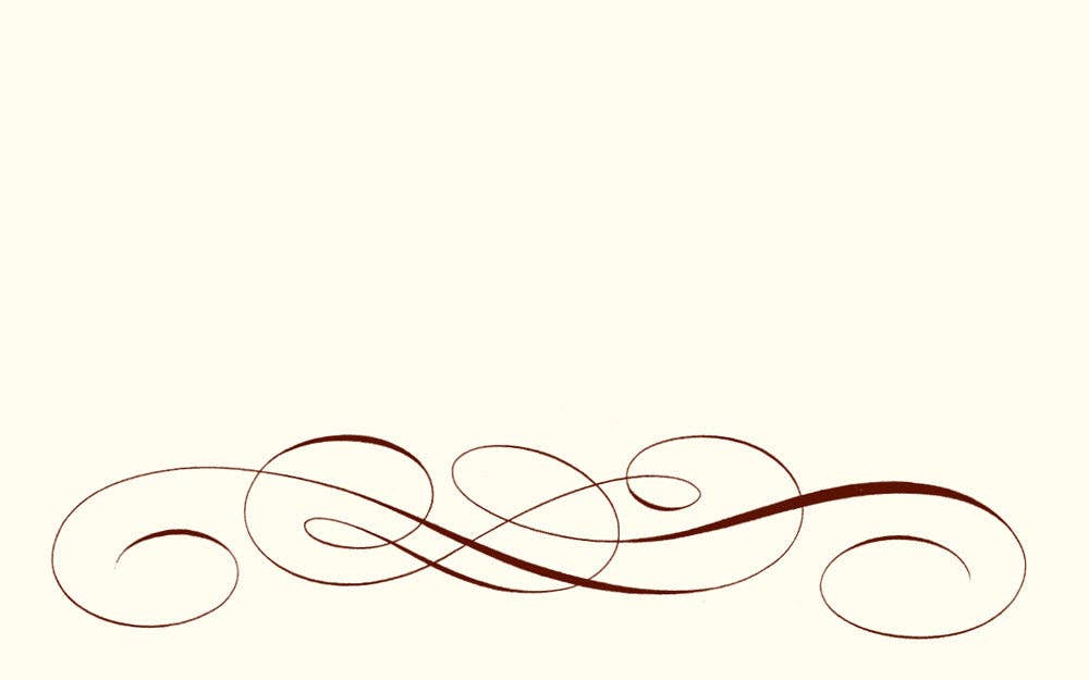 Scroll Place Cards Set of 10