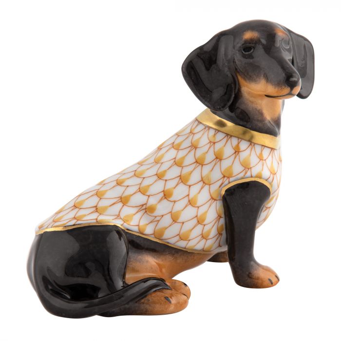 Herned Daschund