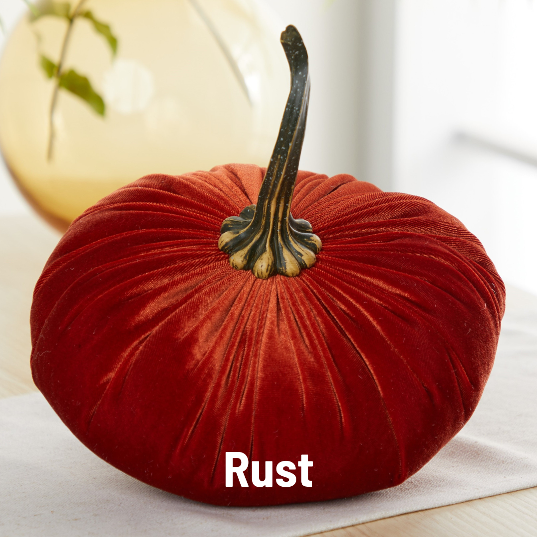 Pumpkin Extra Large Velvet, Fall Accent, Thoughtful Gift: Taupe