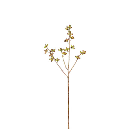 Eucalyptus Pod Stem 28 Inch