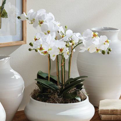 Orchid Bowl 20 in.