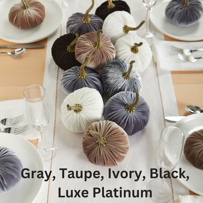 Pumpkin Small Velvet, Valentine's mantel, Autumn table, Gift: Fern