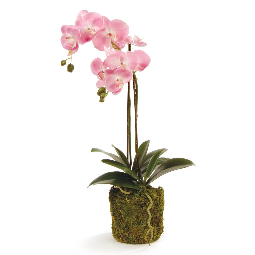 Faux Pink Orchid