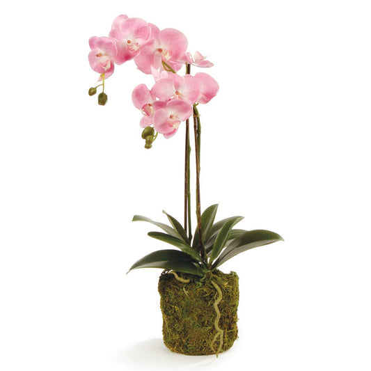 Faux Pink Orchid
