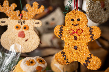 Gingerbread Man Christmas Cookie