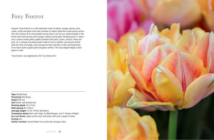 Tulips: Beautiful Varieties for Home and Garden Book