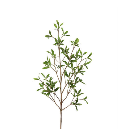Coprosma Kirkii Spray 33 Inch