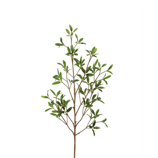 Coprosma Kirkii Spray 33 Inch