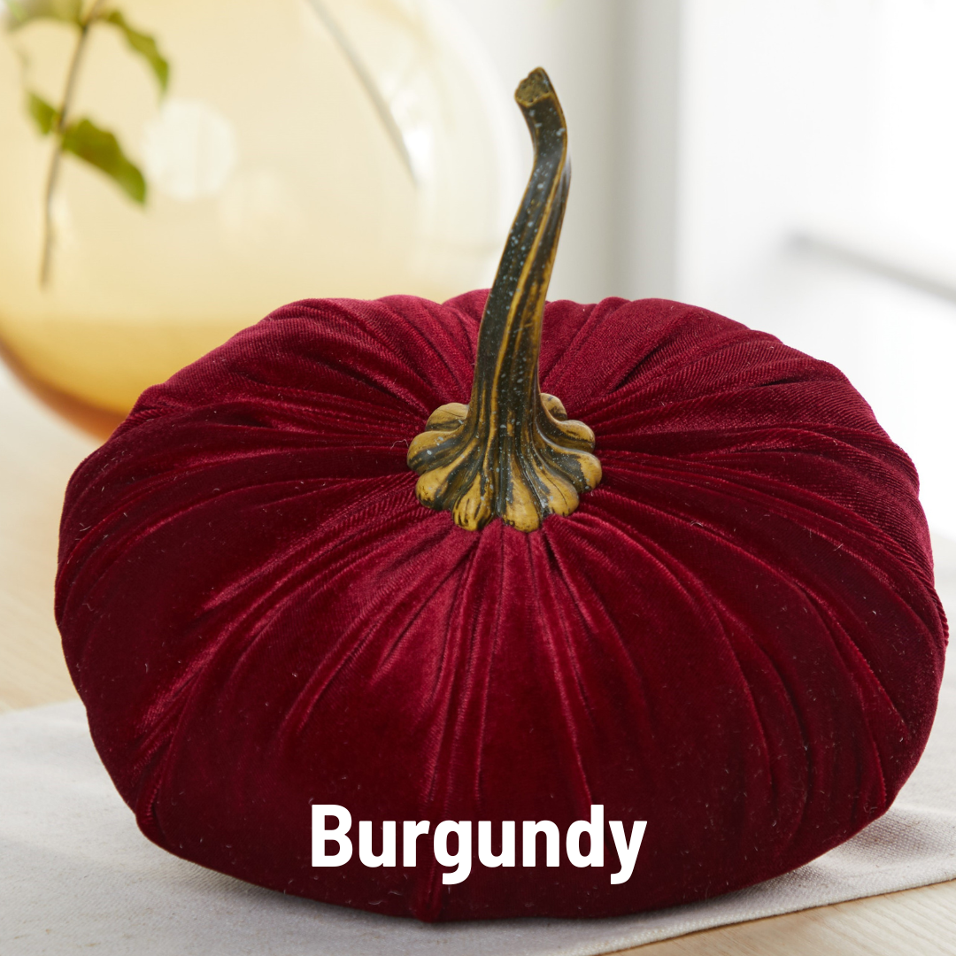 Pumpkin Extra Large Velvet, Fall Accent, Thoughtful Gift: Pink