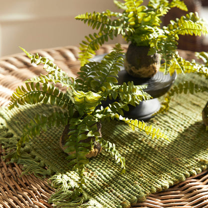 Boston Fern Drop