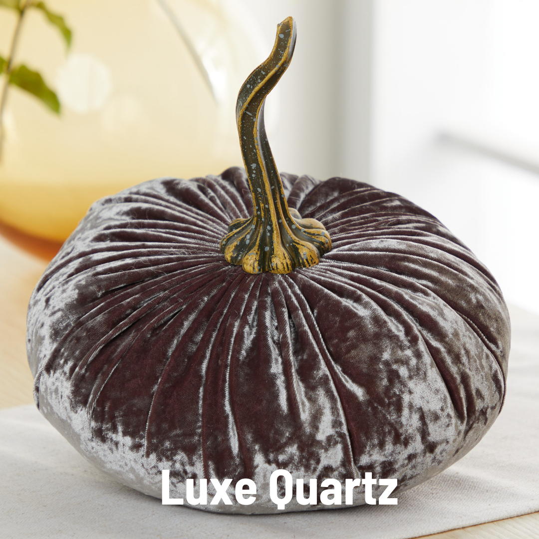 Pumpkin Extra Large Velvet, Fall Accent, Thoughtful Gift: Pink