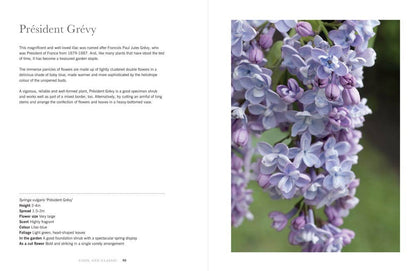 Lilacs: Beautiful Varieties for Home & Garden Book