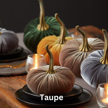 Pumpkin Small Velvet, Valentine's mantel, Autumn table, Gift: Sage