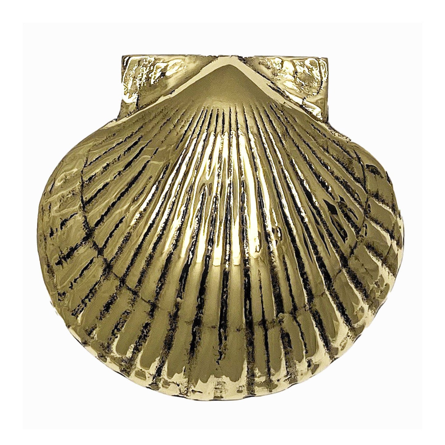 Scallop Door Knocker: Brass / 3.75H x 4W