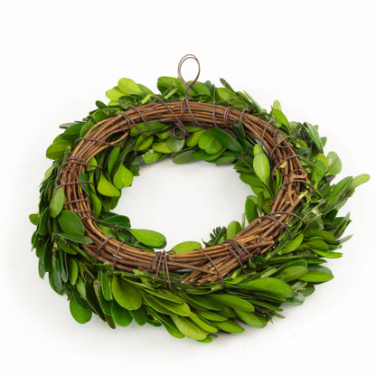 Preserved Boxwood Candle Ring or Wreath