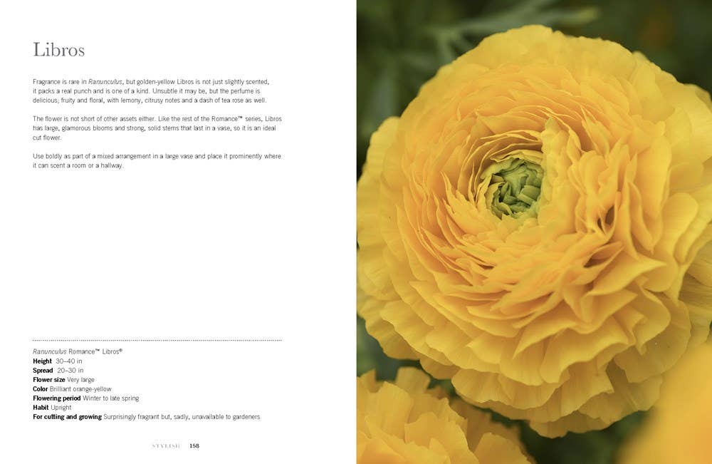 Ranunculus: Beautiful varieties for Home and Garden Book
