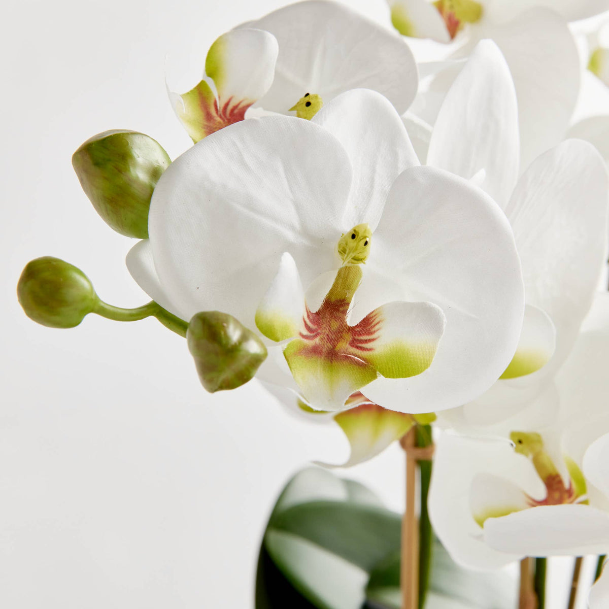 Orchid Bowl 20 in.