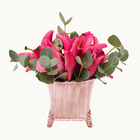 Pink Cachepot
