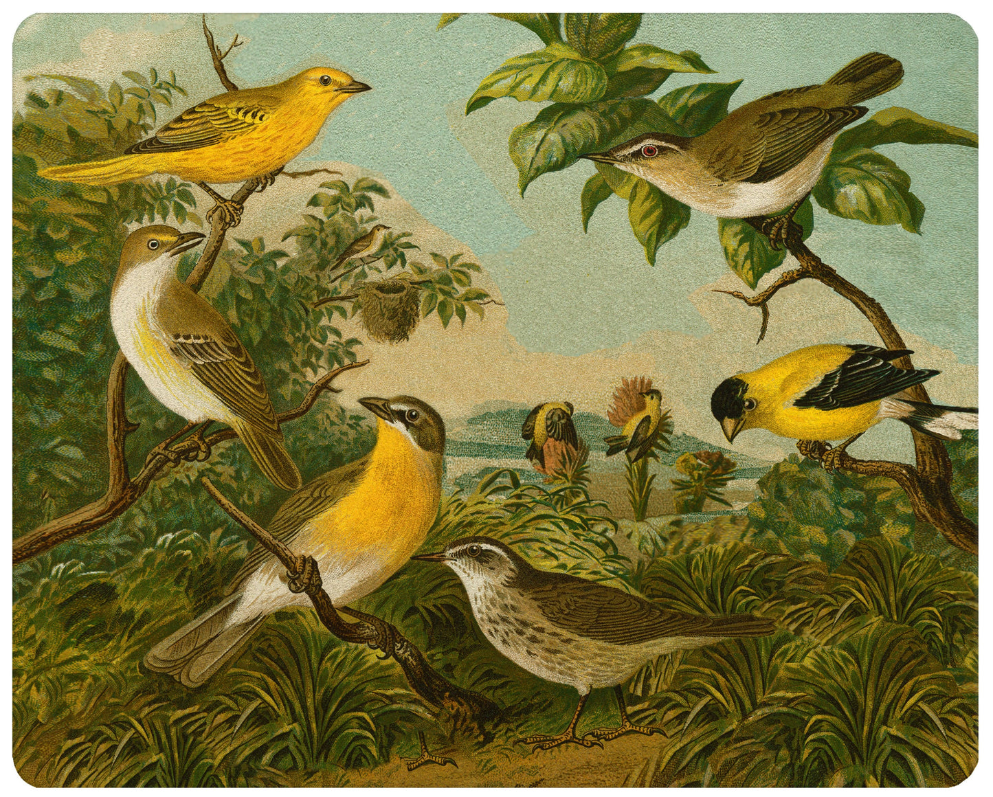 Yellow Birds Glass Cutting Board: Small Rectangular 8" by 11"