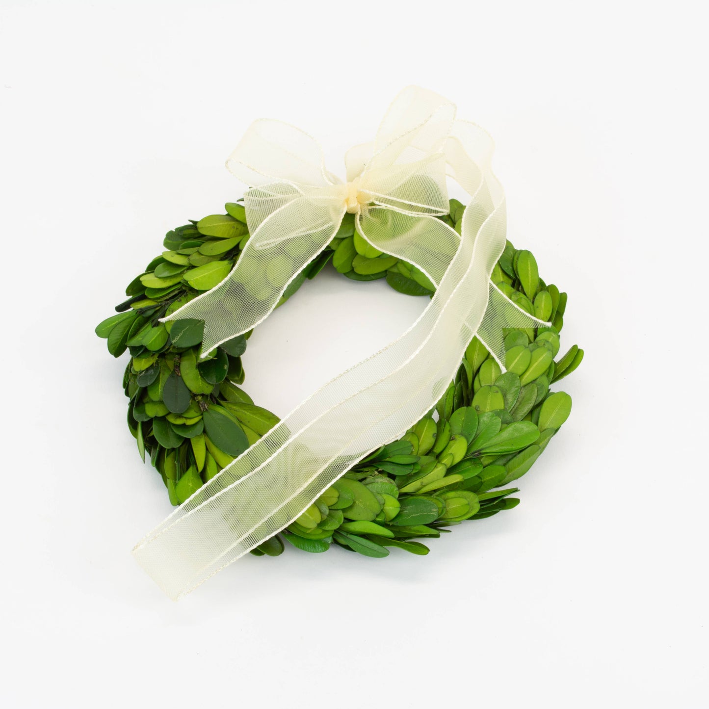 Preserved Boxwood Round Wreath With Ribbon - 6 Inch