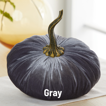 Pumpkin Extra Large Velvet, Fall Accent, Thoughtful Gift: Olive