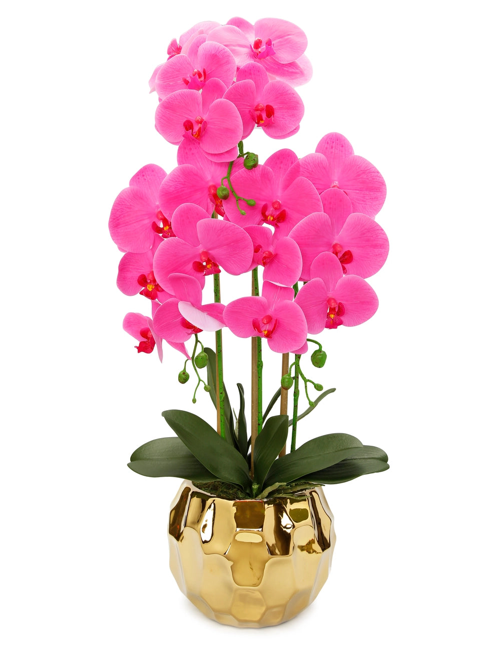 Pink Orchid Plant in Gold Hammered Vase