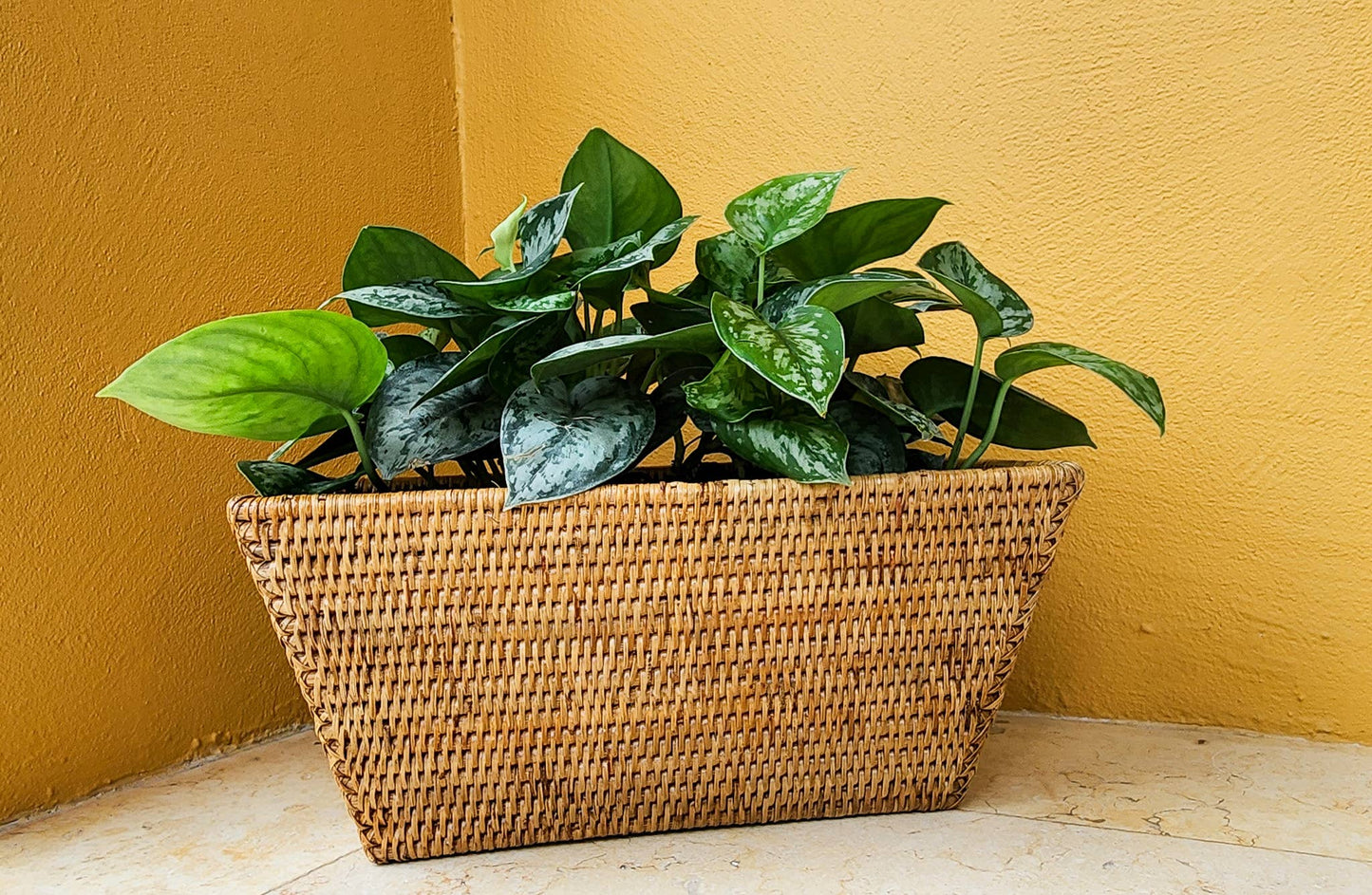Artifacts Rattan™ Rectangular Planter with Plastic Insert