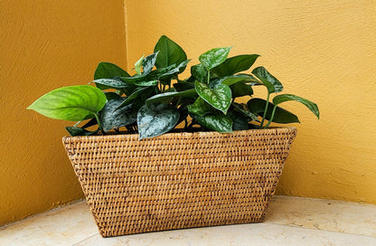 Artifacts Rattan™ Rectangular Planter with Plastic Insert