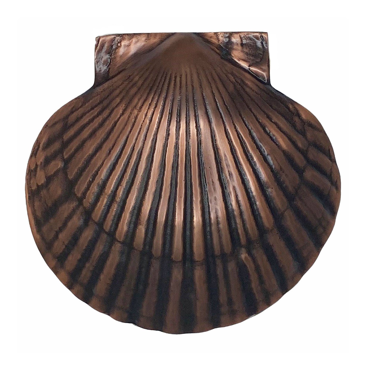 Scallop Door Knocker: Brass / 3.75H x 4W