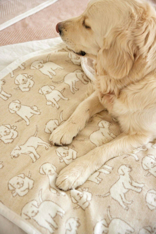 Puppy Love Mini Blanket