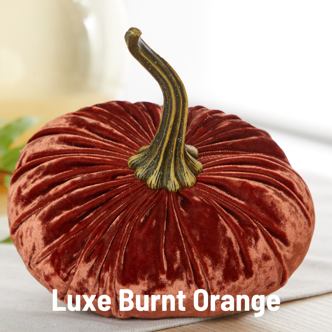 Pumpkin Large Velvet, Fall Mantel Decor, Halloween Table: Bronze