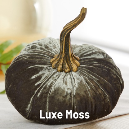 Pumpkin Large Velvet, Fall Mantel Decor, Halloween Table: Leopard