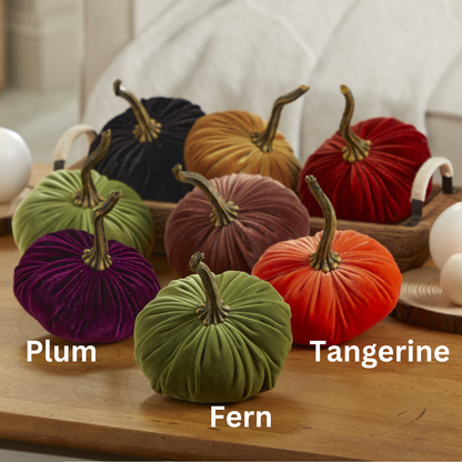 Pumpkin Small Velvet, Valentine's mantel, Autumn table, Gift: Fern