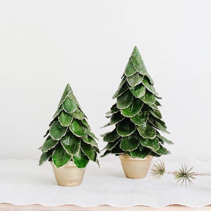 Potted Butterfly Leaf Cone Tree (Green/Gold): 14"
