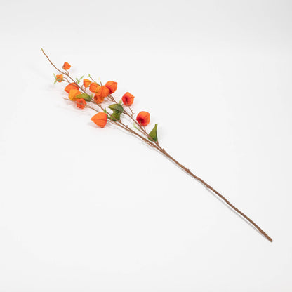 Japanese Lantern Stem - 34 Inch