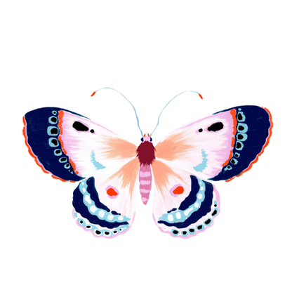 Acrylic Napkin Weight - Butterfly