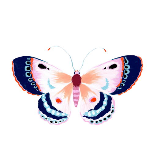 Acrylic Napkin Weight - Butterfly