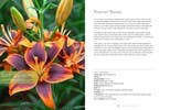 Lilies: Beautiful Varieties for Home & Garden Book