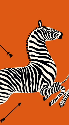 Zebra Guest Towel