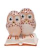Pair of Owls on Books