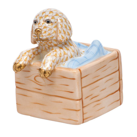 Herend Puppy in Crate