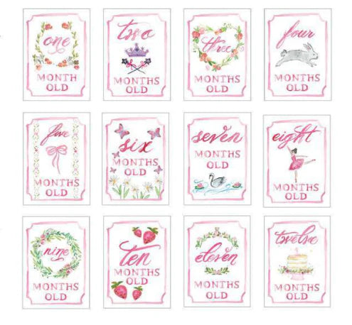 Monthly Milestone Cards Pink