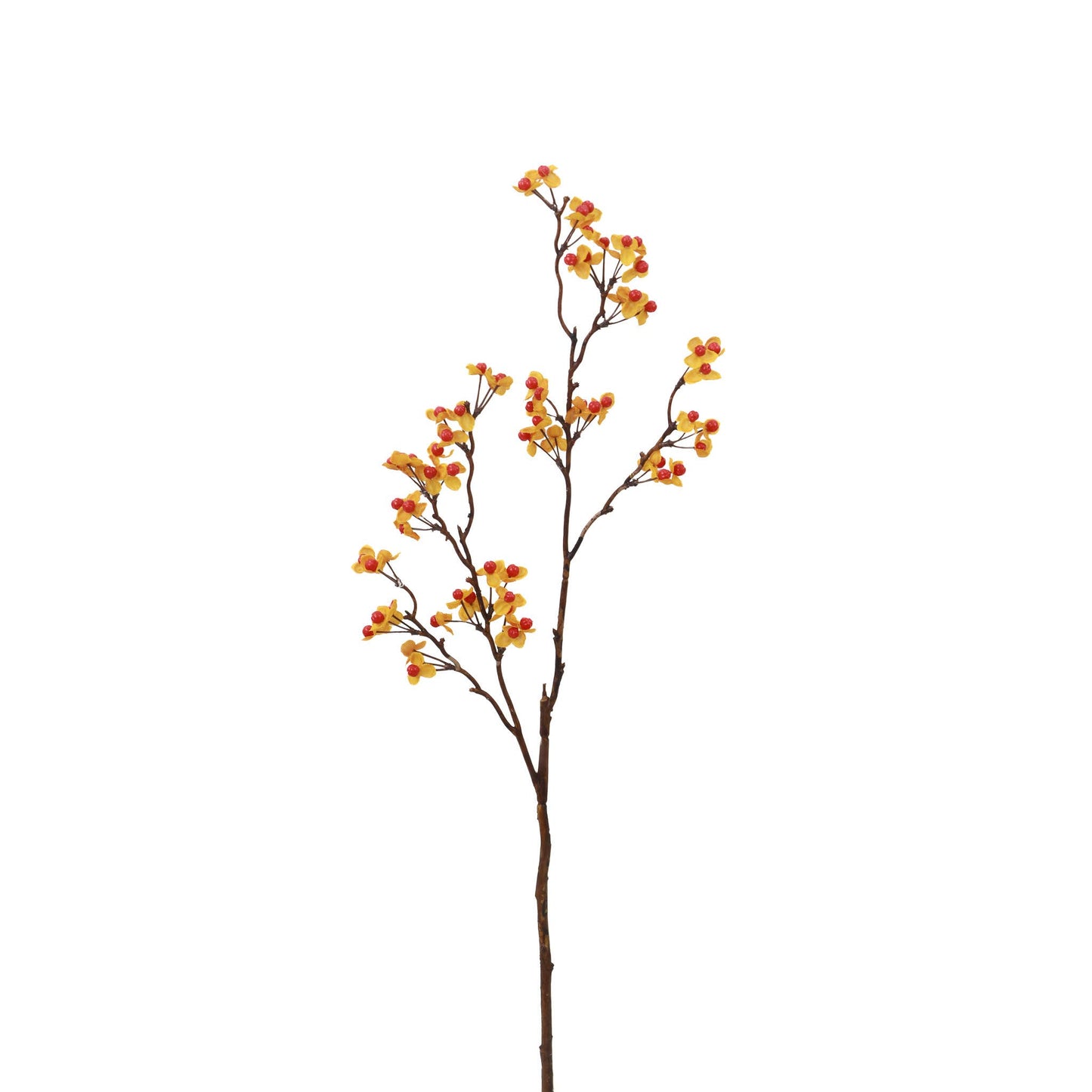 Bittersweet Spray - 24 Inch