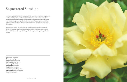Peonies: Beautiful Varieties for Home & Garden Book