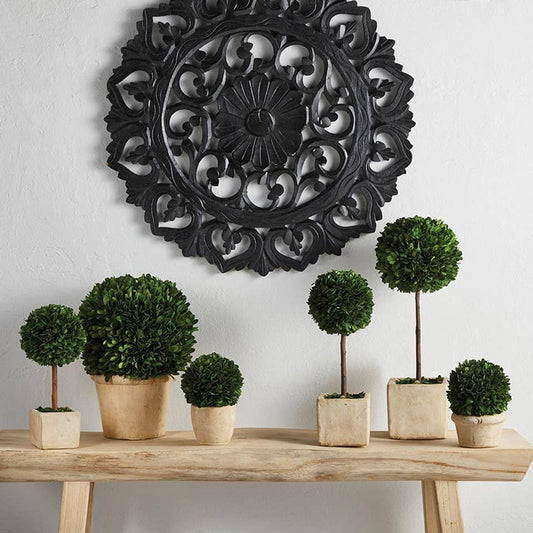 Topiary Boxwood - Small